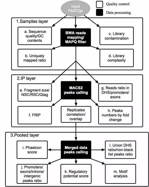 chip-seq cro,Understanding Chip-Seq for CRISPR: A Comprehensive Guide