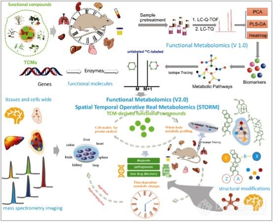 Metabolic Disease Cro: A Comprehensive Overview