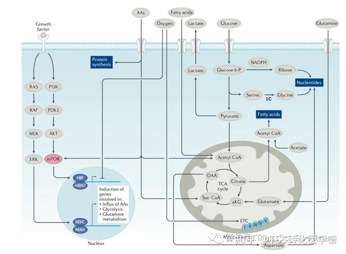 Integrated Drug Discovery CRO: A Comprehensive Guide for Modern Research