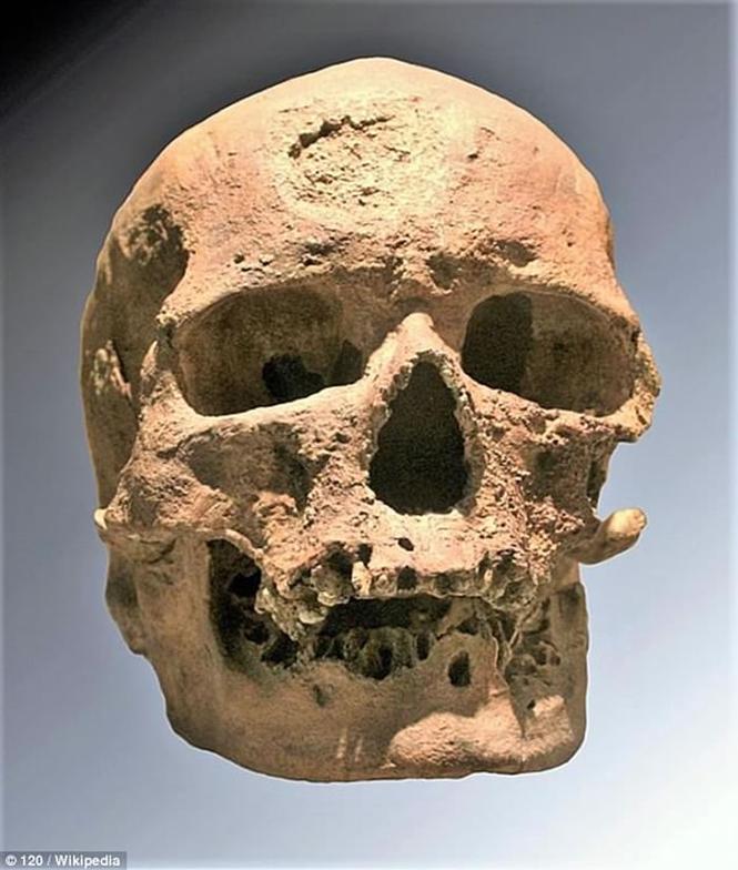 Cro Magnon Skull: A Window into the Past