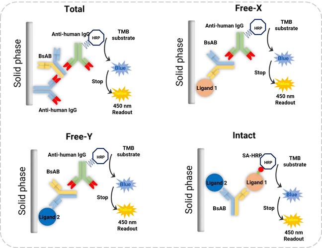 Understanding the Role of DMPK CROs in Drug Development