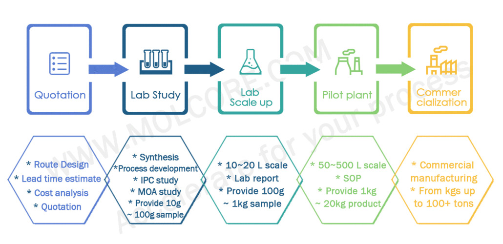 Custom Carbohydrate Synthesis: A Comprehensive Guide for You