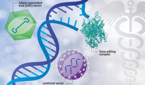 Understanding Cell and Gene Therapy: A Comprehensive Guide for You