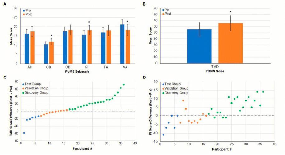 Understanding Multiomics CRO: A Comprehensive Guide