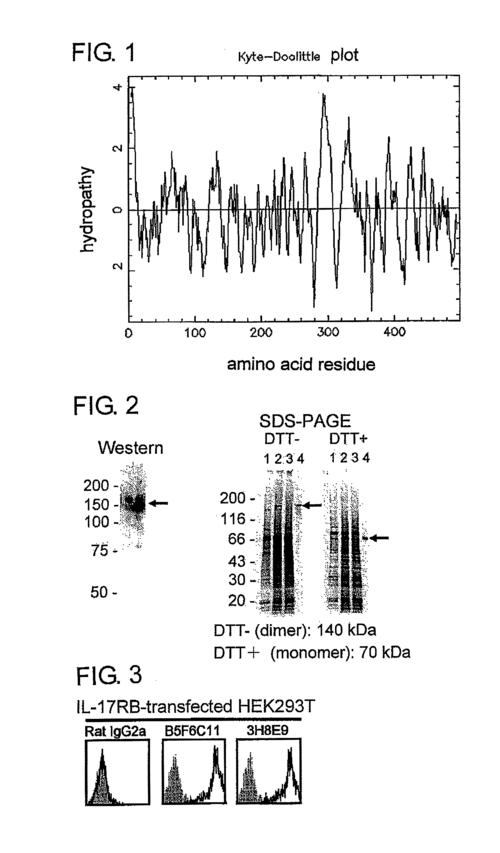 Allergic Inflammation Preclinical Cro Services: A Comprehensive Guide