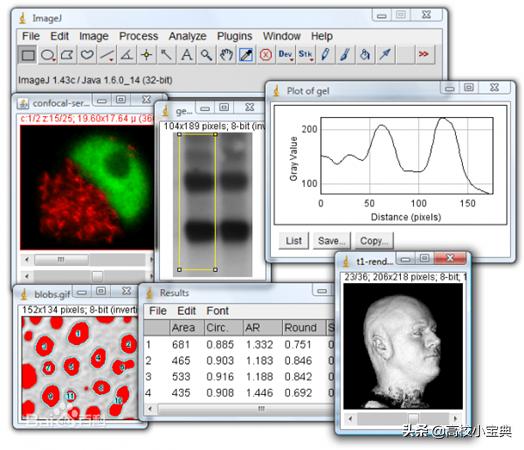 cro image stack imagej,Cro Image Stack: A Comprehensive Guide to ImageJ’s Powerhouse Feature