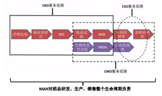 cgo vs cro,Cgo vs Cro: A Comprehensive Comparison