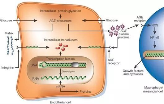 cro protein prophage induction,Cro Protein Prophage Induction: A Detailed Multidimensional Overview