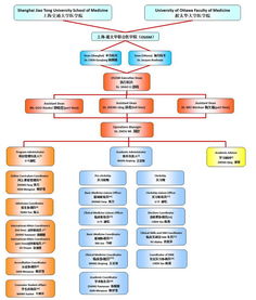 cro organizational chart,Cro Organizational Chart: A Detailed Overview