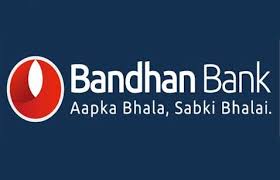 cro salary in bandhan bank,Cro Salary in Bandhan Bank: A Detailed Insight