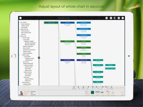 cro org chart,Cro Org Chart: A Comprehensive Overview