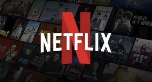 cro netflix,Understanding Netflix: A Comprehensive Overview