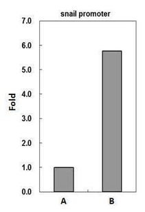 cro repressor binding site,Cro Repressor Binding Site: A Comprehensive Overview