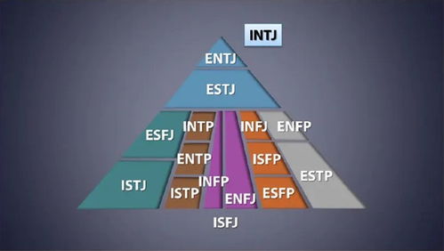 cro mbti,Understanding CRO MBTI